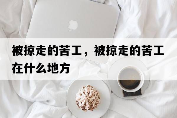 被掠走的苦工，被掠走的苦工在什么地方