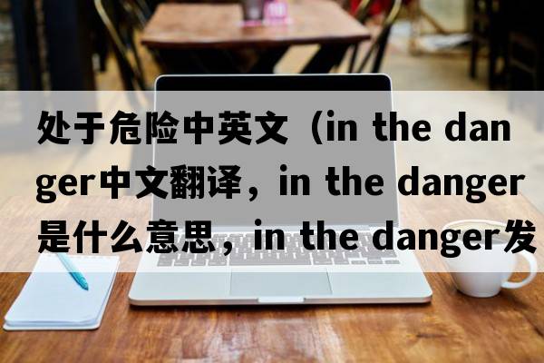 處于危險中英文（in the danger中文翻譯，in the danger是什么意思，in the danger發(fā)音、用法及例句）