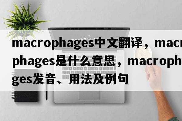 macrophages中文翻譯，macrophages是什么意思，macrophages發(fā)音、用法及例句