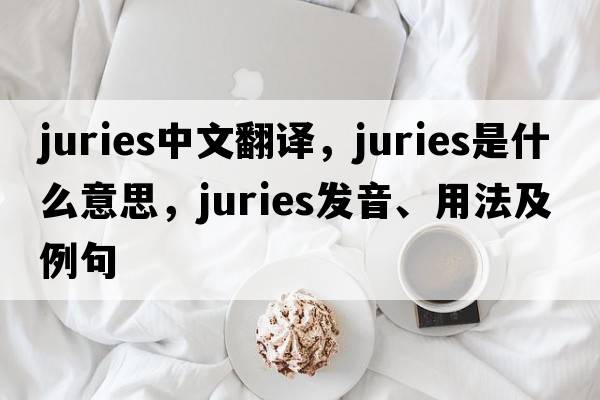 juries中文翻譯，juries是什么意思，juries發(fā)音、用法及例句