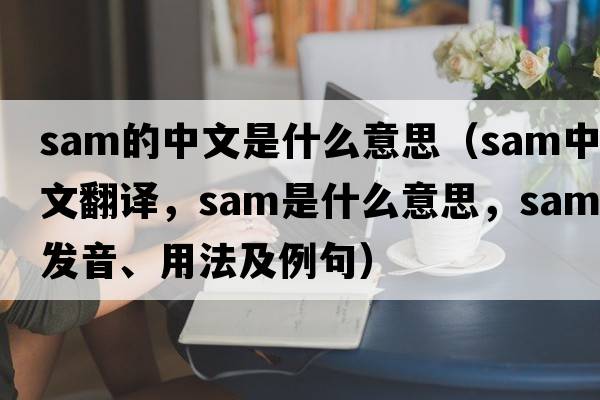 sam的中文是什么意思（sam中文翻譯，sam是什么意思，sam發(fā)音、用法及例句）