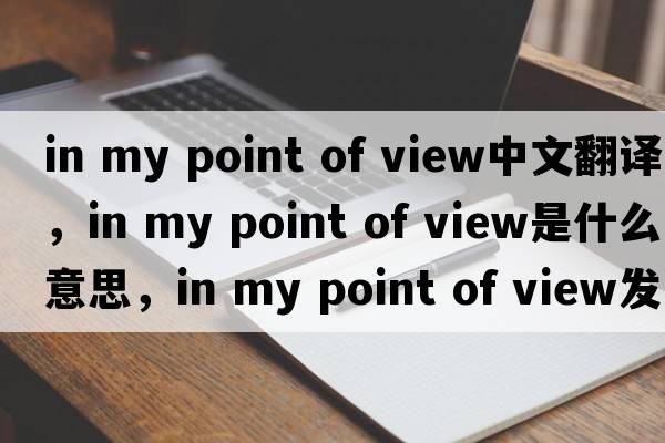 in my point of view中文翻譯，in my point of view是什么意思，in my point of view發(fā)音、用法及例句