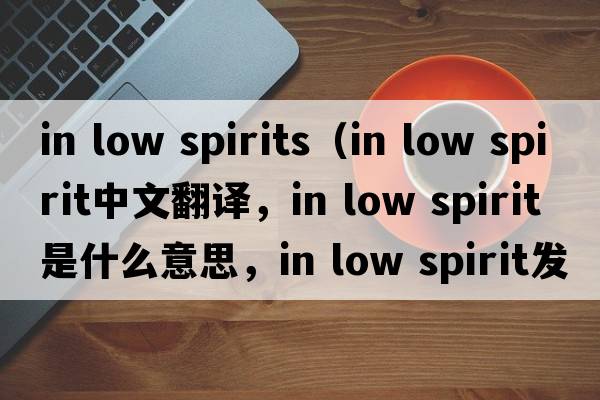 in low spirits（in low spirit中文翻譯，in low spirit是什么意思，in low spirit發(fā)音、用法及例句）