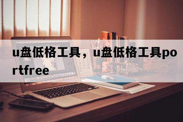 u盤(pán)低格工具，u盤(pán)低格工具PortFree