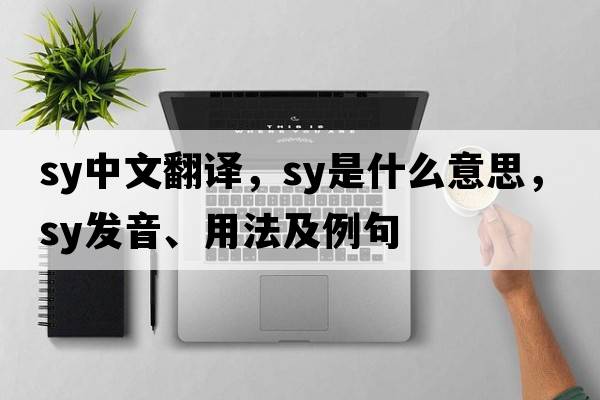 sy中文翻譯，sy是什么意思，sy發(fā)音、用法及例句