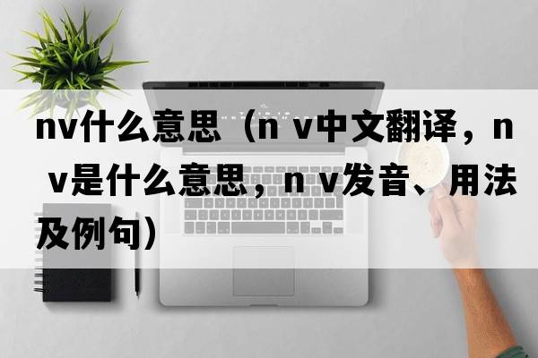 nv什么意思（n v中文翻譯，n v是什么意思，n v發(fā)音、用法及例句）