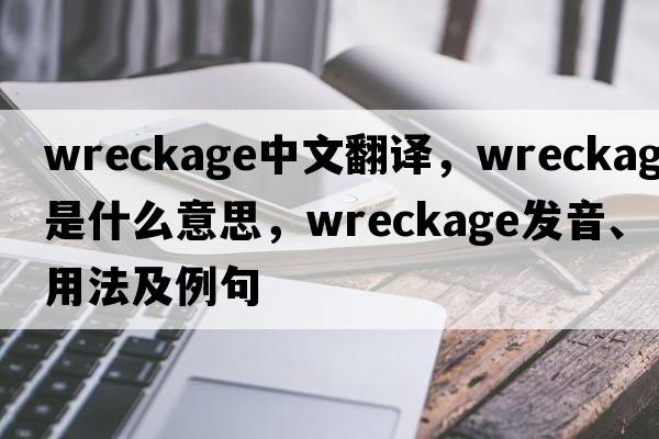 wreckage中文翻譯，wreckage是什么意思，wreckage發(fā)音、用法及例句