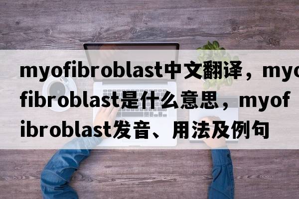 myofibroblast中文翻譯，myofibroblast是什么意思，myofibroblast發(fā)音、用法及例句