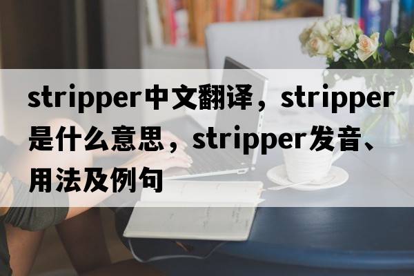stripper中文翻譯，stripper是什么意思，stripper發(fā)音、用法及例句