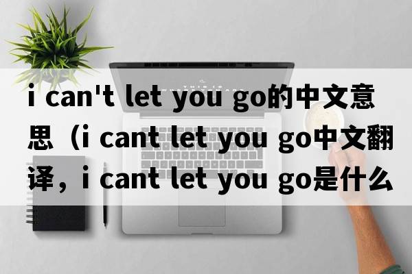 i can't let you go的中文意思（i cant let you go中文翻譯，i cant let you go是什么意思，i cant let you go發(fā)音、用法及例句）