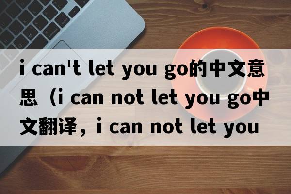 i can't let you go的中文意思（i can not let you go中文翻譯，i can not let you go是什么意思，i can not let you go