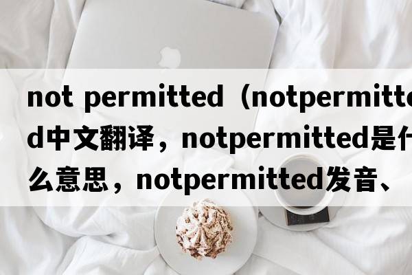 not permitted（notpermitted中文翻譯，notpermitted是什么意思，notpermitted發(fā)音、用法及例句）