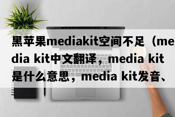黑蘋(píng)果mediakit空間不足（media kit中文翻譯，media kit是什么意思，media kit發(fā)音、用法及例句）