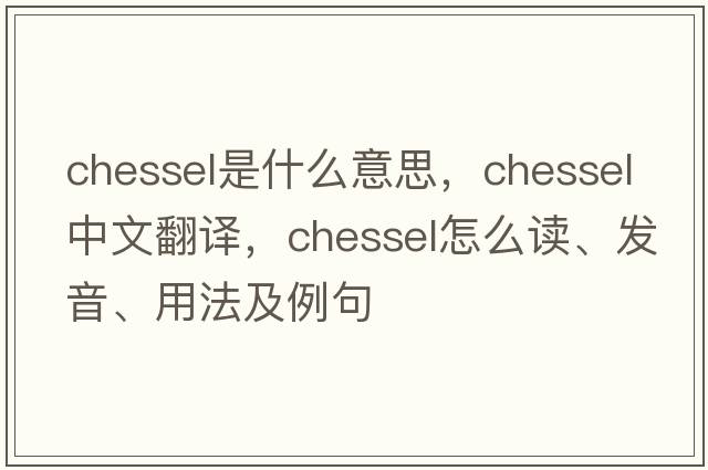 chessel是什么意思，chessel中文翻譯，chessel怎么讀、發(fā)音、用法及例句