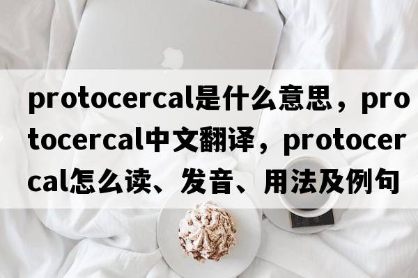 protocercal是什么意思，protocercal中文翻譯，protocercal怎么讀、發(fā)音、用法及例句