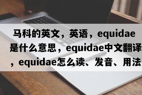  馬科的英文，英語(yǔ)，Equidae是什么意思，Equidae中文翻譯，Equidae怎么讀、發(fā)音、用法及例句