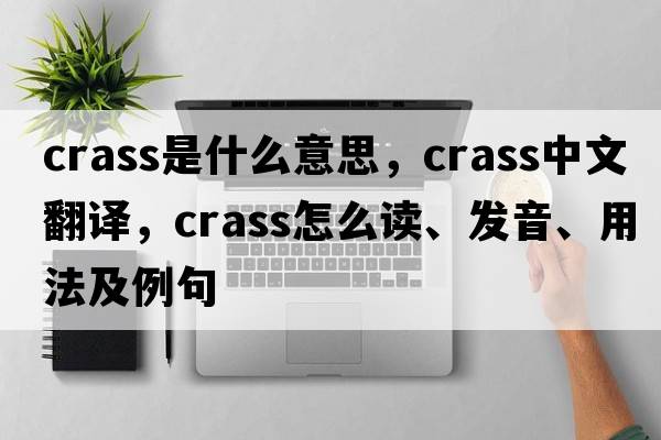 crass是什么意思，crass中文翻譯，crass怎么讀、發(fā)音、用法及例句