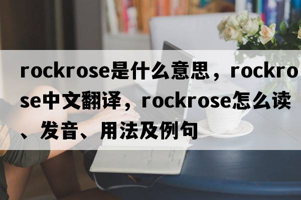 rockrose是什么意思，rockrose中文翻譯，rockrose怎么讀、發(fā)音、用法及例句