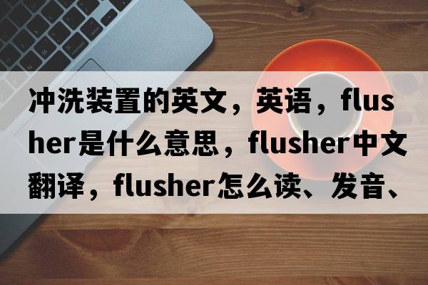 沖洗裝置的英文，英語(yǔ)，flusher是什么意思，flusher中文翻譯，flusher怎么讀、發(fā)音、用法及例句