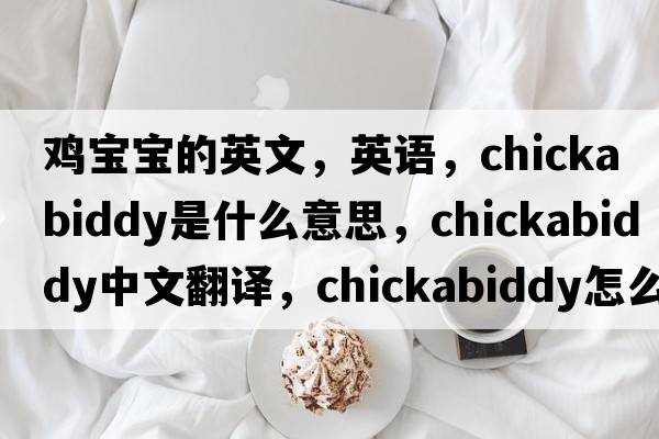 雞寶寶的英文，英語(yǔ)，chickabiddy是什么意思，chickabiddy中文翻譯，chickabiddy怎么讀、發(fā)音、用法及例句