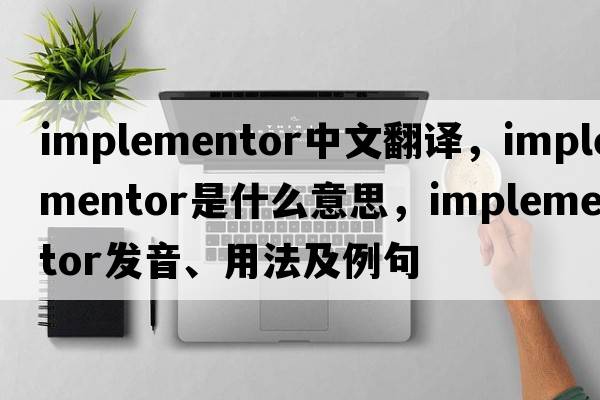 implementor中文翻譯，implementor是什么意思，implementor發(fā)音、用法及例句
