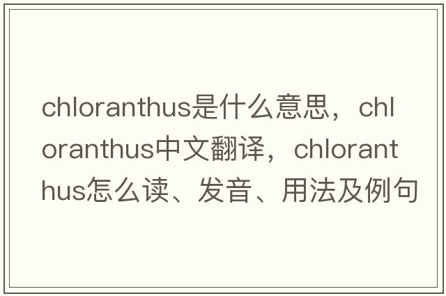 chloranthus是什么意思，chloranthus中文翻譯，chloranthus怎么讀、發(fā)音、用法及例句
