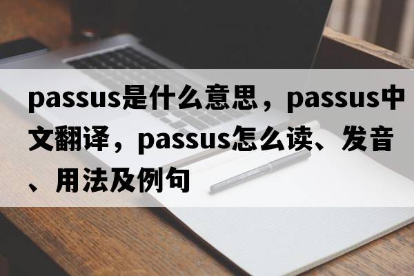 passus是什么意思，passus中文翻譯，passus怎么讀、發(fā)音、用法及例句