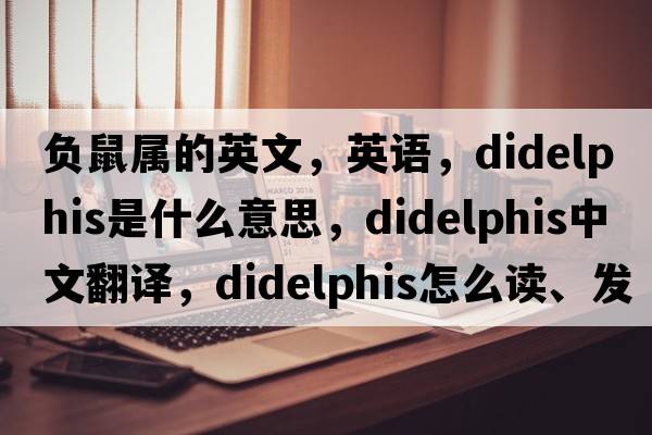 負鼠屬的英文，英語(yǔ)，Didelphis是什么意思，Didelphis中文翻譯，Didelphis怎么讀、發(fā)音、用法及例句