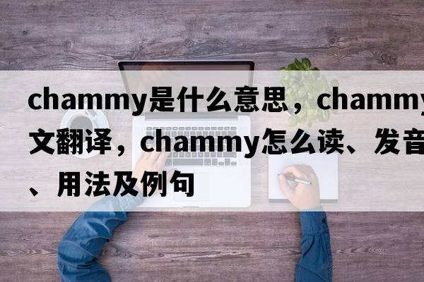 chammy是什么意思，chammy中文翻譯，chammy怎么讀、發(fā)音、用法及例句