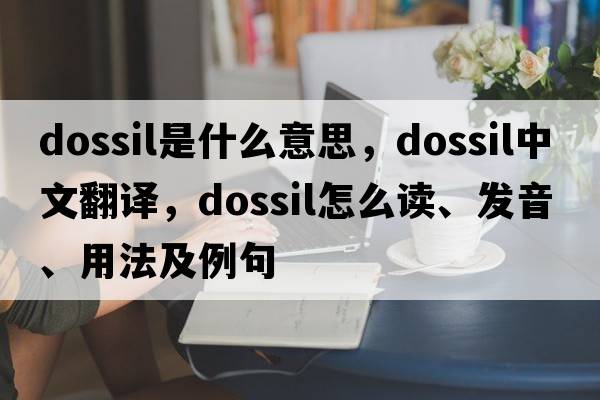 dossil是什么意思，dossil中文翻譯，dossil怎么讀、發(fā)音、用法及例句