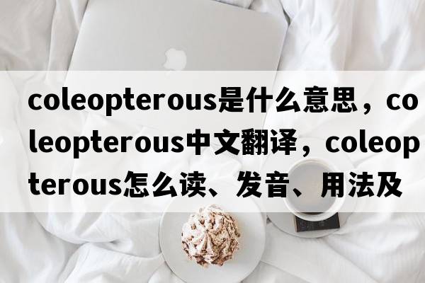 coleopterous是什么意思，coleopterous中文翻譯，coleopterous怎么讀、發(fā)音、用法及例句