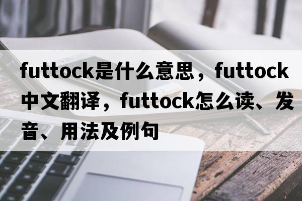 futtock是什么意思，futtock中文翻譯，futtock怎么讀、發(fā)音、用法及例句