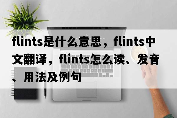 flints是什么意思，flints中文翻譯，flints怎么讀、發(fā)音、用法及例句