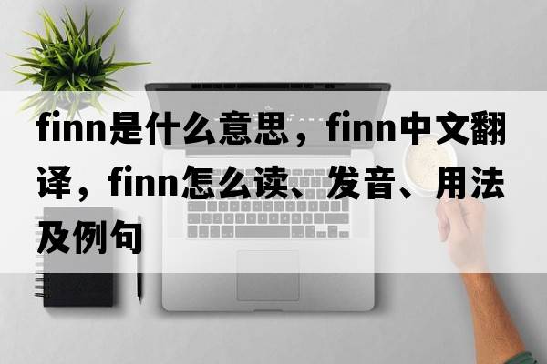 finn是什么意思，finn中文翻譯，finn怎么讀、發(fā)音、用法及例句