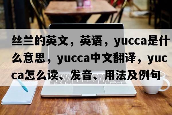 絲蘭的英文，英語(yǔ)，yucca是什么意思，yucca中文翻譯，yucca怎么讀、發(fā)音、用法及例句