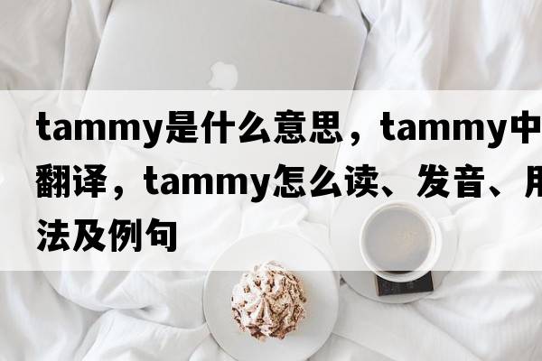 tammy是什么意思，tammy中文翻譯，tammy怎么讀、發(fā)音、用法及例句