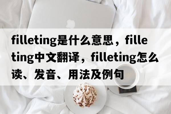 filleting是什么意思，filleting中文翻譯，filleting怎么讀、發(fā)音、用法及例句