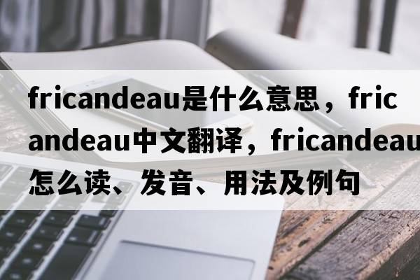 fricandeau是什么意思，fricandeau中文翻譯，fricandeau怎么讀、發(fā)音、用法及例句