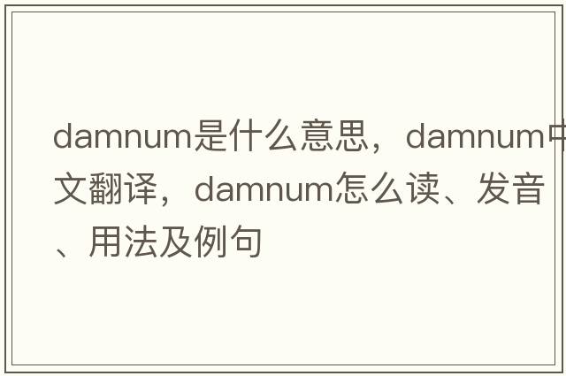 damnum是什么意思，damnum中文翻譯，damnum怎么讀、發(fā)音、用法及例句