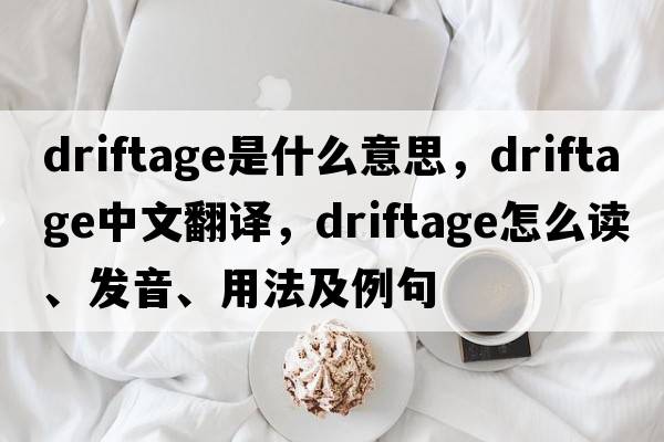 driftage是什么意思，driftage中文翻譯，driftage怎么讀、發(fā)音、用法及例句