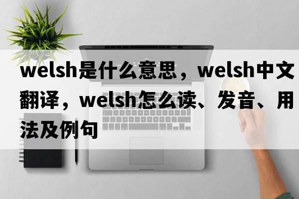 welsh是什么意思，welsh中文翻譯，welsh怎么讀、發(fā)音、用法及例句