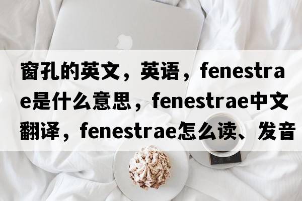 窗孔的英文，英語(yǔ)，fenestrae是什么意思，fenestrae中文翻譯，fenestrae怎么讀、發(fā)音、用法及例句