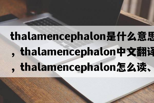 thalamencephalon是什么意思，thalamencephalon中文翻譯，thalamencephalon怎么讀、發(fā)音、用法及例句
