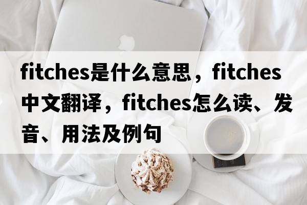 Fitches是什么意思，Fitches中文翻譯，Fitches怎么讀、發(fā)音、用法及例句