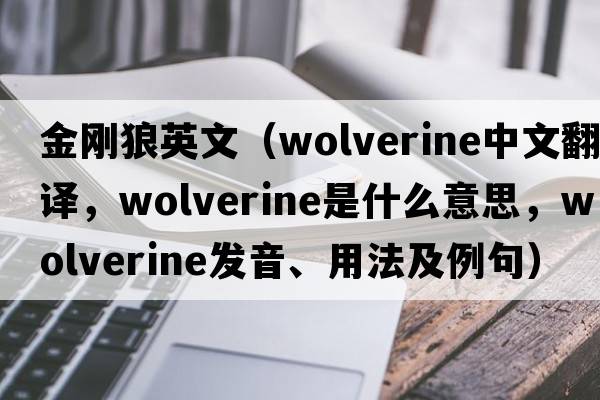 金剛狼英文（wolverine中文翻譯，wolverine是什么意思，wolverine發(fā)音、用法及例句）