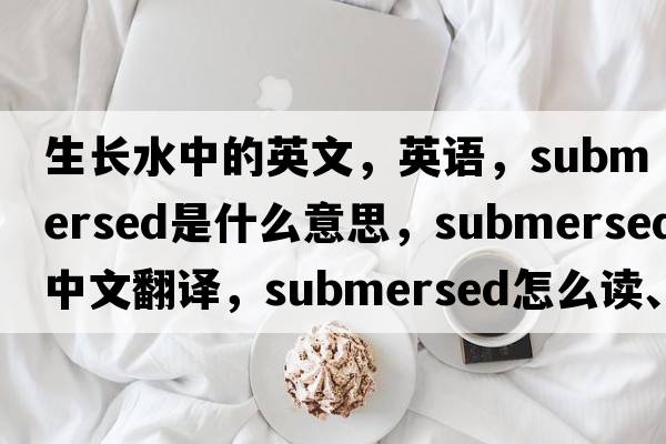 生長(cháng)水中的英文，英語(yǔ)，submersed是什么意思，submersed中文翻譯，submersed怎么讀、發(fā)音、用法及例句