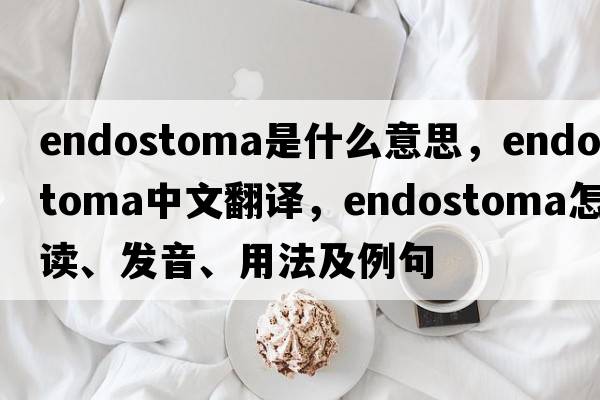 endostoma是什么意思，endostoma中文翻譯，endostoma怎么讀、發(fā)音、用法及例句