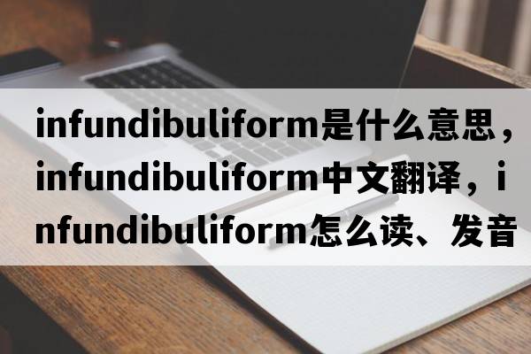 infundibuliform是什么意思，infundibuliform中文翻譯，infundibuliform怎么讀、發(fā)音、用法及例句