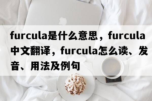 furcula是什么意思，furcula中文翻譯，furcula怎么讀、發(fā)音、用法及例句