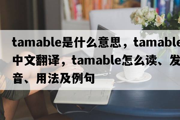 tamable是什么意思，tamable中文翻譯，tamable怎么讀、發(fā)音、用法及例句
